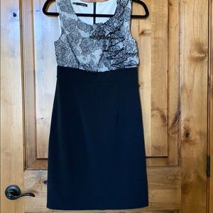 3/$15 Maurice’s shift dress